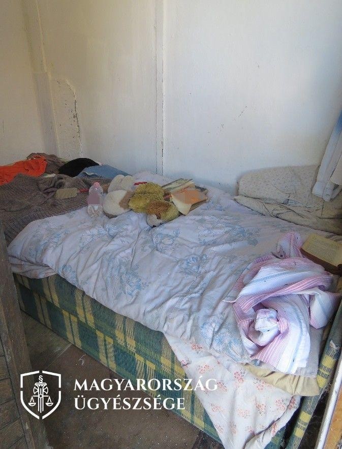 A korábban disznóólként használt bódéban az ágyon kívül nem fért el semmi/ Fotó: Somogy Megyei Főügyészség 