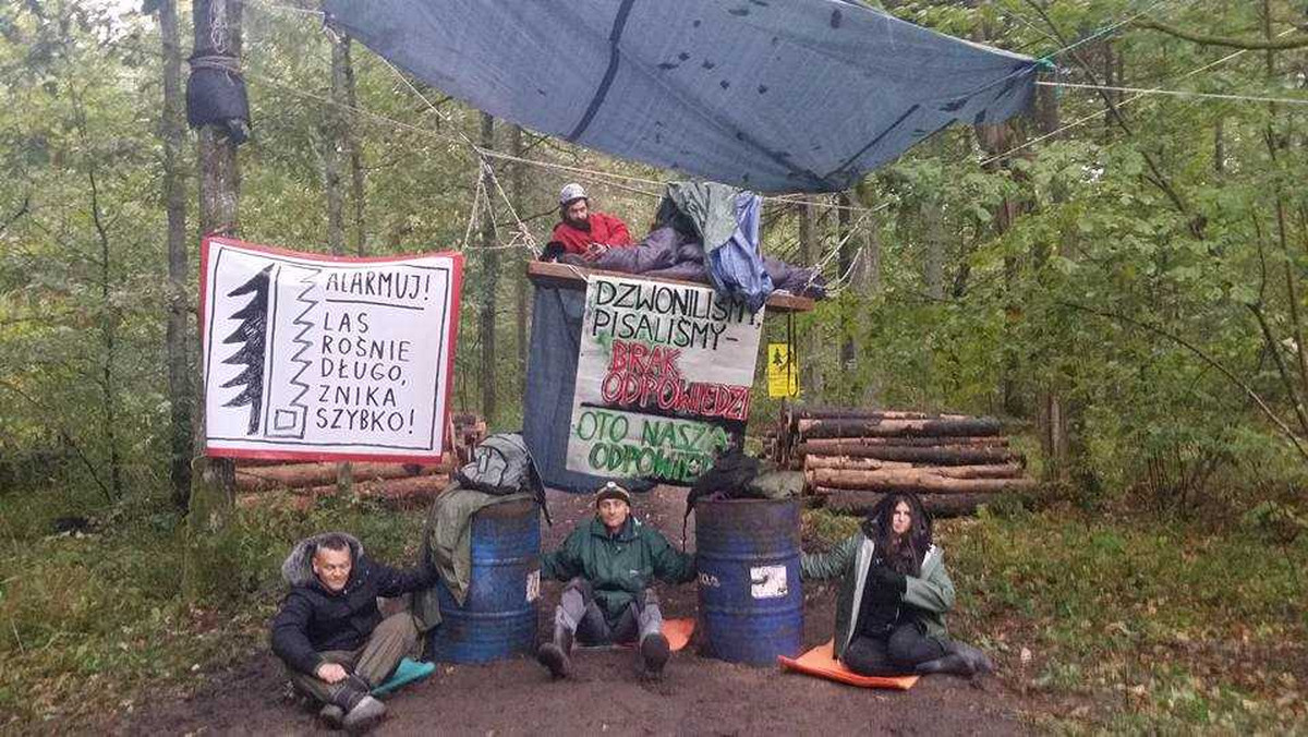 Obrońcy przyrody nie odpuszczają. Kontynuują rozpoczętą wczoraj blokadę drogi w okolicach Teremisek w Puszczy Białowieskiej. Nawet ją rozbudowali, zagradzając dojazd z drugiej strony. Regionalna Dyrekcja Lasów Państwowych wydała oświadczenie w sprawie użycia noża. Jeden z protestujących przez całą dobę był zatrzymany na Komendzie Policji Powiatowej w Hajnówce.