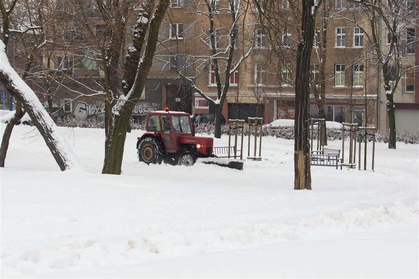 Poznań, odśnieżanie, parki, drogi