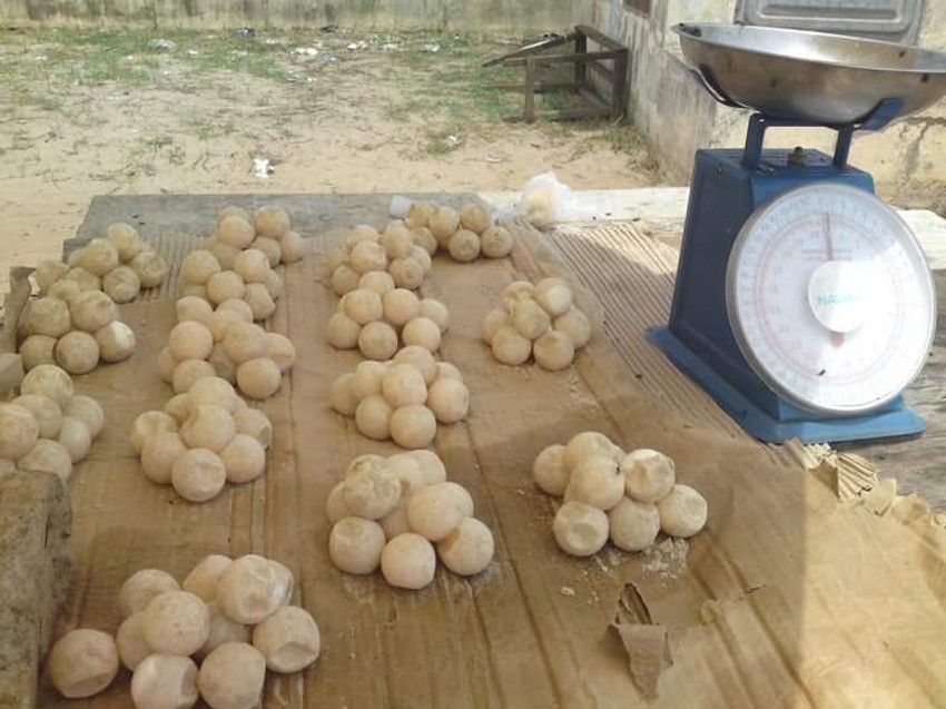 Specijalitet: Jaja kornjače na pijaci