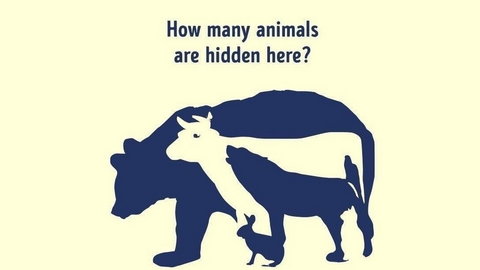 Ile zwierząt ukryło się na obrazku? Mało komu uda się znaleźć wszystkie