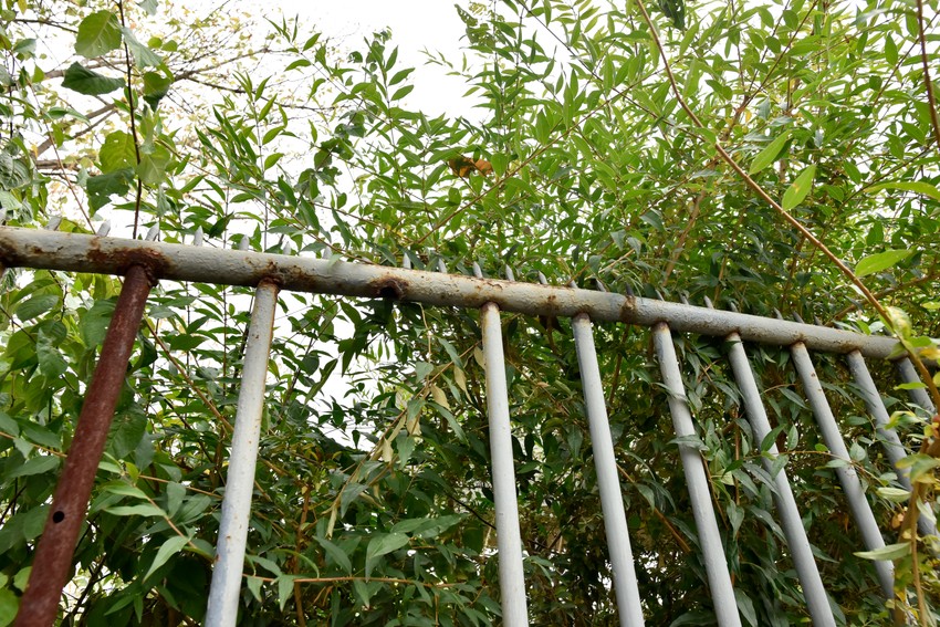 Nedostaju neke šipke