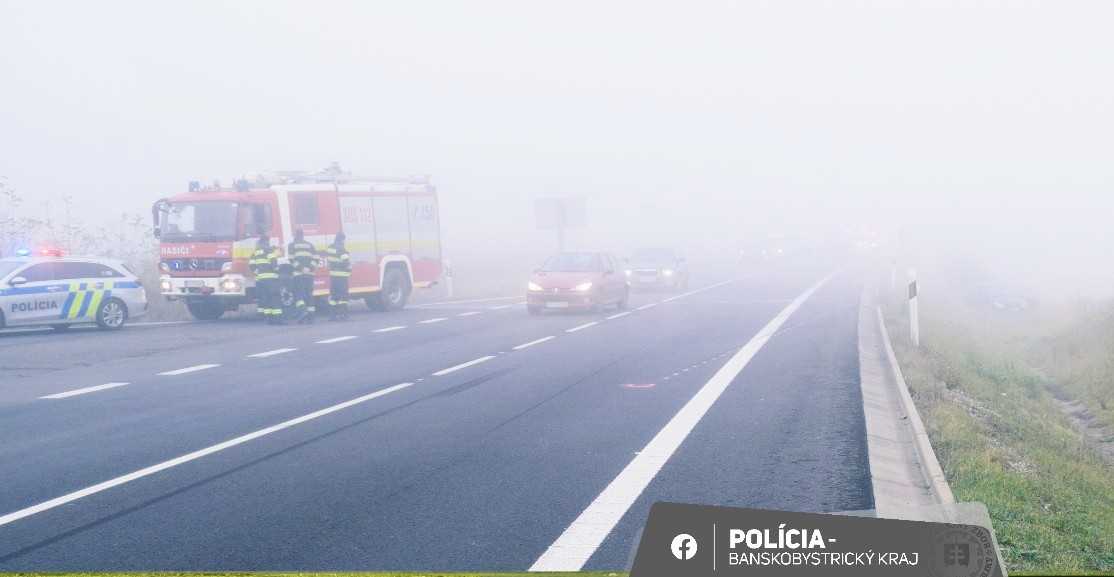 Vodičku pri Ožďanoch ratovali policajti.