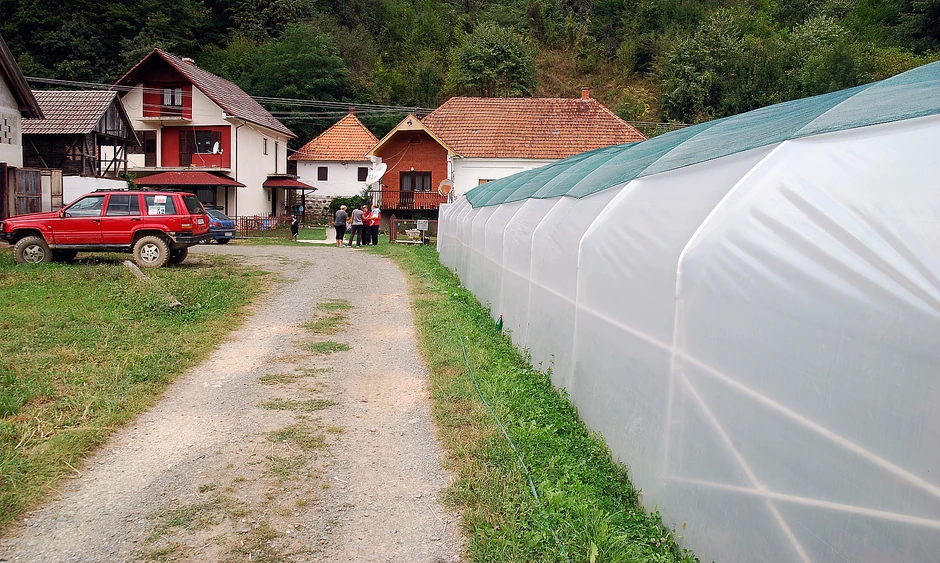 Imaju tri plastenika ukupne površine tri ara