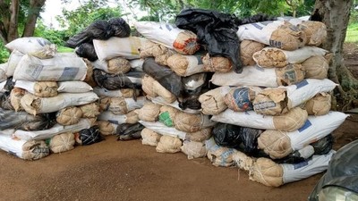 Some of the drugs intercepted by the operatives of the NDLEA. [Facebook:NDLEA]