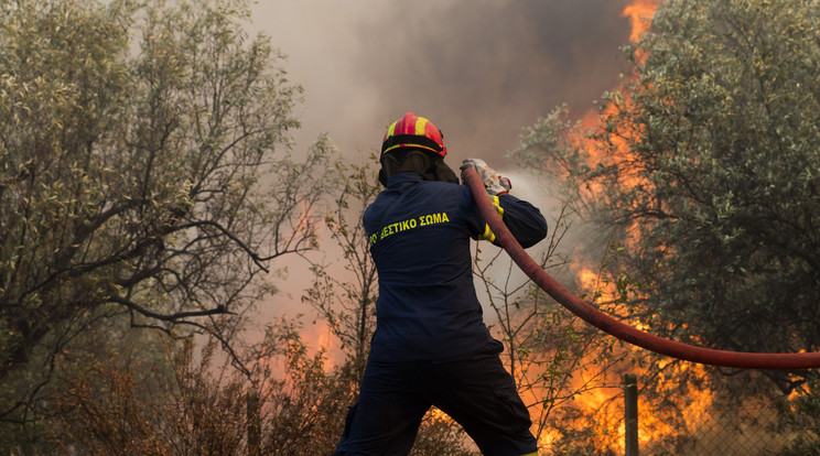 Evakuálás a tüzek miatt és tomboló hőség, utánajártunk most mi a helyzet Görögországban és Olaszországban/ Fotó: Northfoto