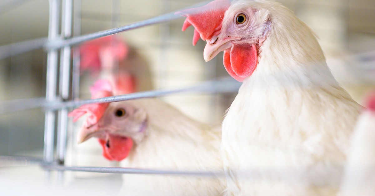 Więcej firm będzie musiało uzyskiwać pozwolenia zintegrowane