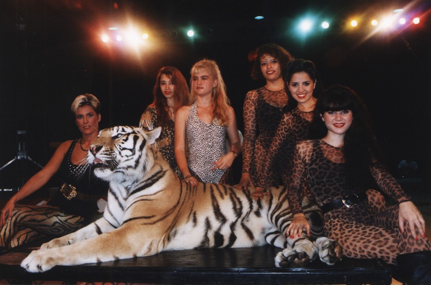 Žene i mačke Dok Antala