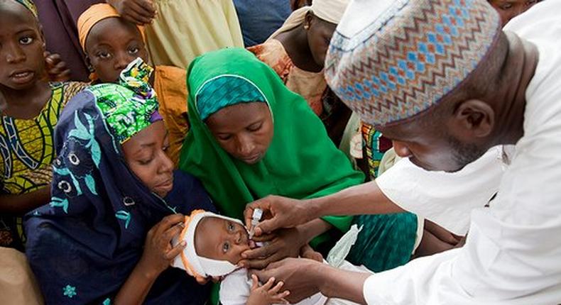 Nigerian health official administers a polio vaccine to a child in Kano, northern Nigeria. [thenewsnigeria]