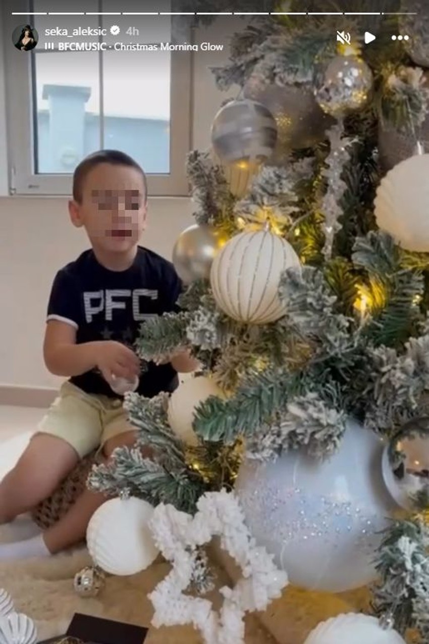 Seka Aleksić, objava