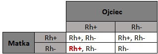 Dziedziczenie czynnika Rh przez potomstwo