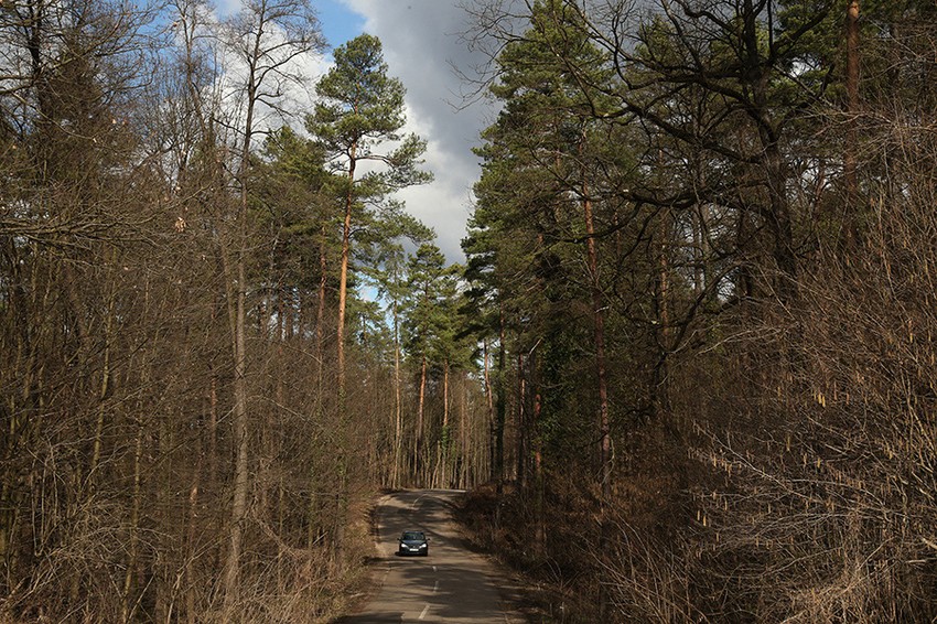 Grahovac je pronađen u šumi