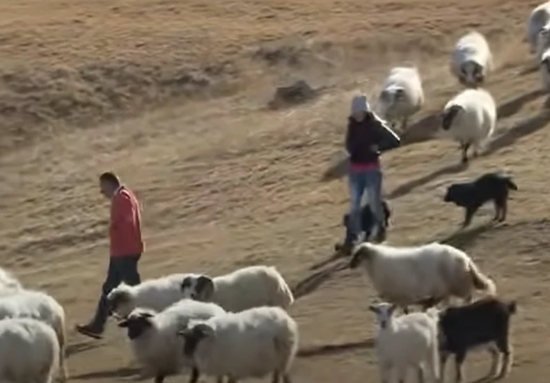 Milun i Mara sa Katuna Ravno