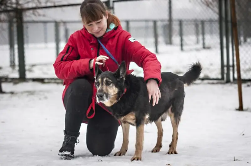 Dorota i jej podopieczny Prince