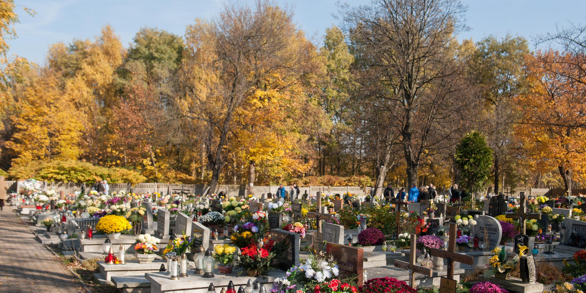 Handel grobami kwitnie. Ceny sięgają kilkudziesięciu tysięcy złotych