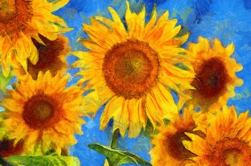 Napraforgók - Vincent Van Gogh képe