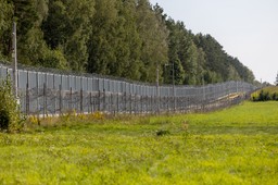 mswia: nielegalna migracja na granicy z białorusią spadła o 96 proc.