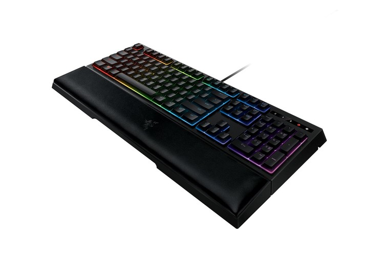 Razer Ornata