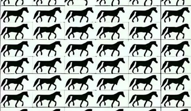 Mozgalica sa konjima