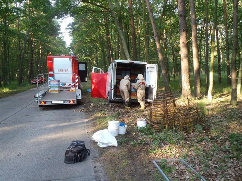 Tragiczny wypadek. Bus z pszczołami rozbił się o drzewo