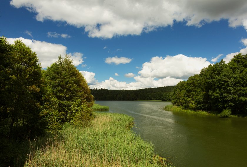 Z Faktem na weekend: Bory Tucholskie