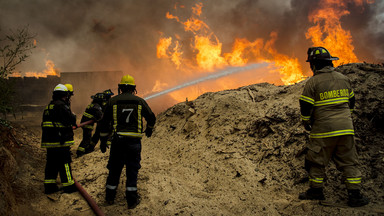 Chile: katastrofalne pożary lasów wciąż szaleją