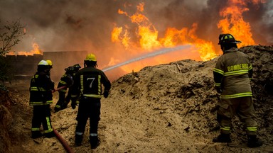 Chile: katastrofalne pożary lasów wciąż szaleją