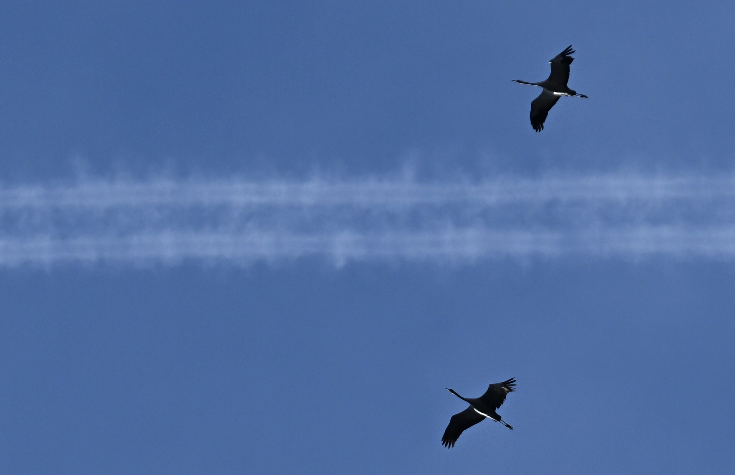 Aviación: Nueva herramienta reduce impacto climático 5%