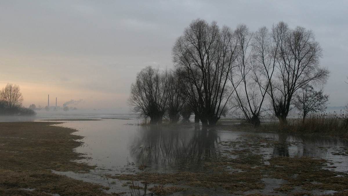 Stan ostrzegawczy został przekroczony o 24 centymetry na Bierawce w miejscowości Grabówka, o 21 centymetrów na Osobłodze w Racławicach Śląskich i o 44 centymetry na Prosnej w Gorzowie Śląskim - informuje Radio Opole.