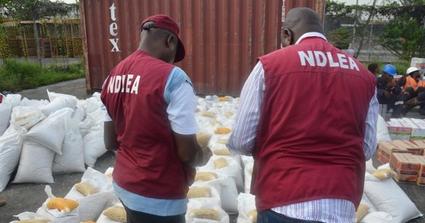 NDLEA arrests man over alleged possession of 800 grams of drugs [ARTICLE] -  Pulse Nigeria
