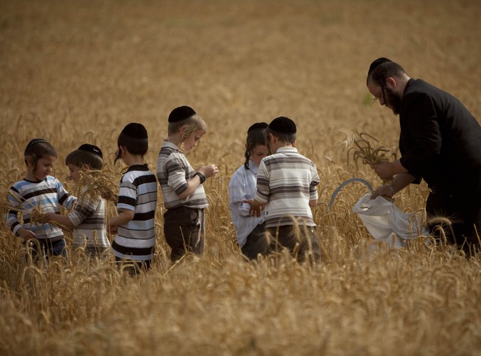 Żydowskie święto Szawuot