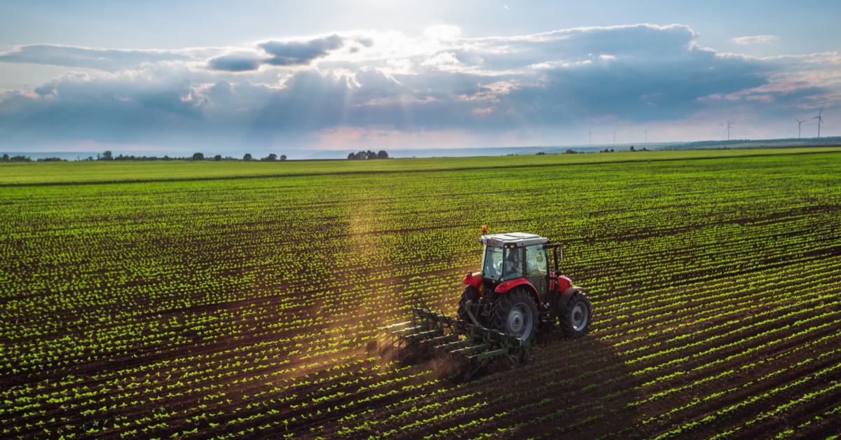 Gmina nie może podpisać z sołtysem umowy zlecenia na doręczanie pism podatkowych
