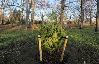 Kolejna zielona arteria we Wrocławiu