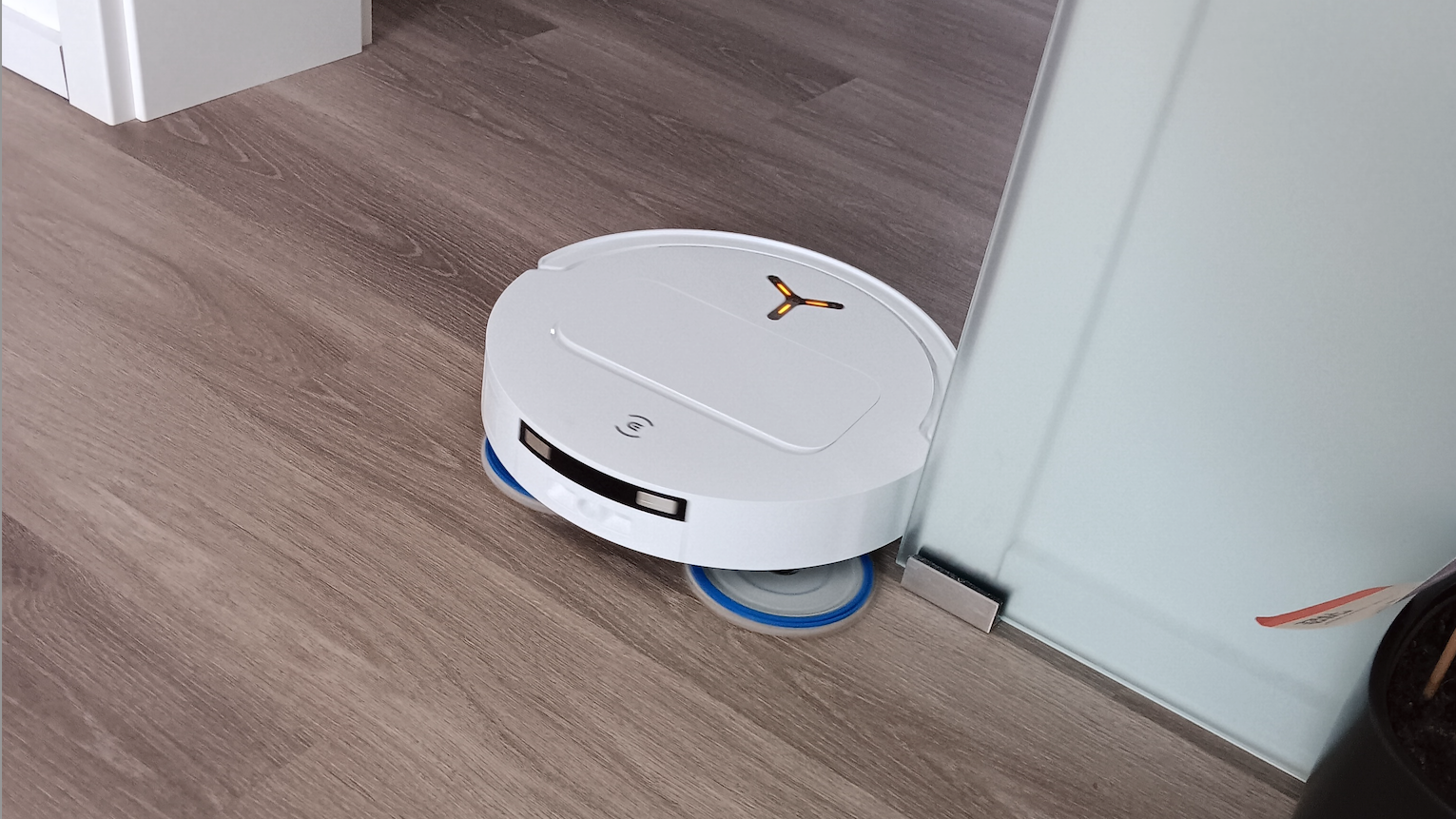 Lesertest: Saugroboter Ecovacs Deebot T50 Omni bei Allergikern