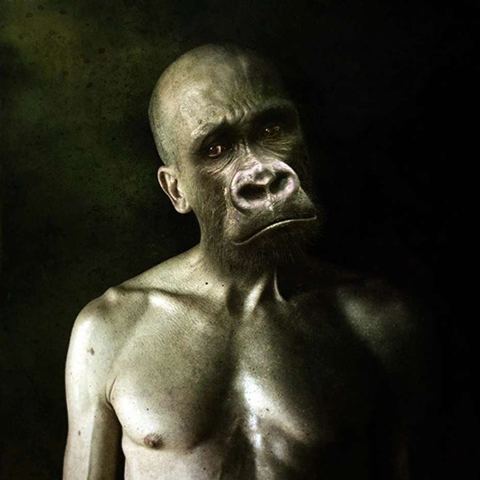 Foto: Francesco Sambo