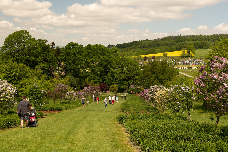 Arboretum Wojsławice