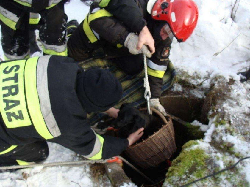 Całą noc przesiedział w studni