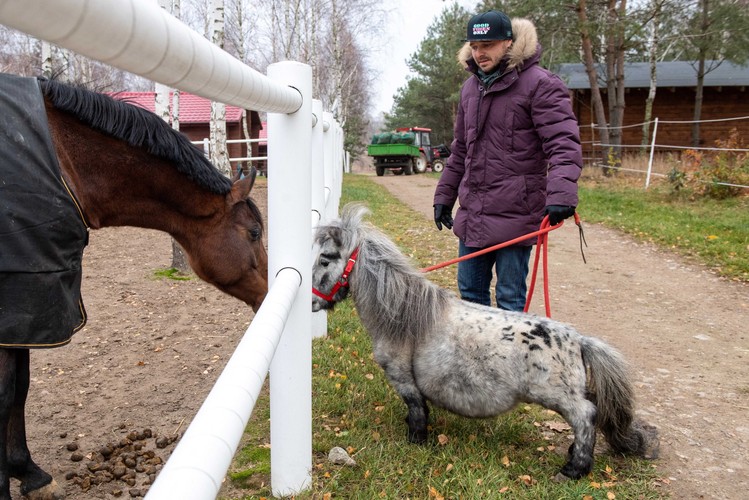 Bombel - najmniejszy koń świata
