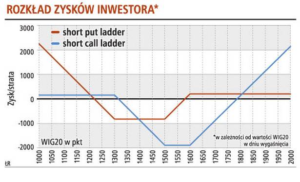 Rozkład zysków inwestora