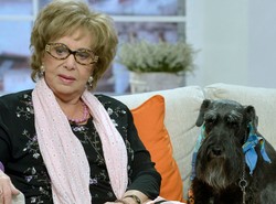 Zofia Czerwińska wspomina Powstanie Warszawskie: Gestapowski pies uratował mi życie