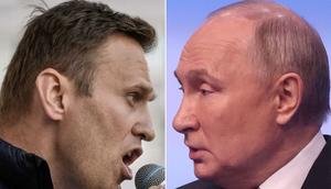 Russian opposition leader Alexey Navalny (left) and Russian President Vladimir Putin (right).Alexander Nemenov/AFP via Getty Images; Contributor via Getty Images