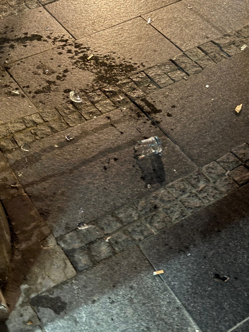 Incident u Zmaj Jovinoj ulici