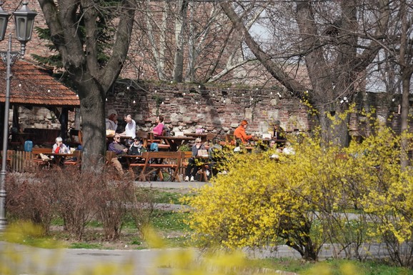 (GRAFIKON) METEOROLOZI OTKRILI ANOMALIJU Proleće je u Beogradu ove godine praktično stiglo već 22. februara! Evo o čemu se radi i zašto ovo treba da nas brine