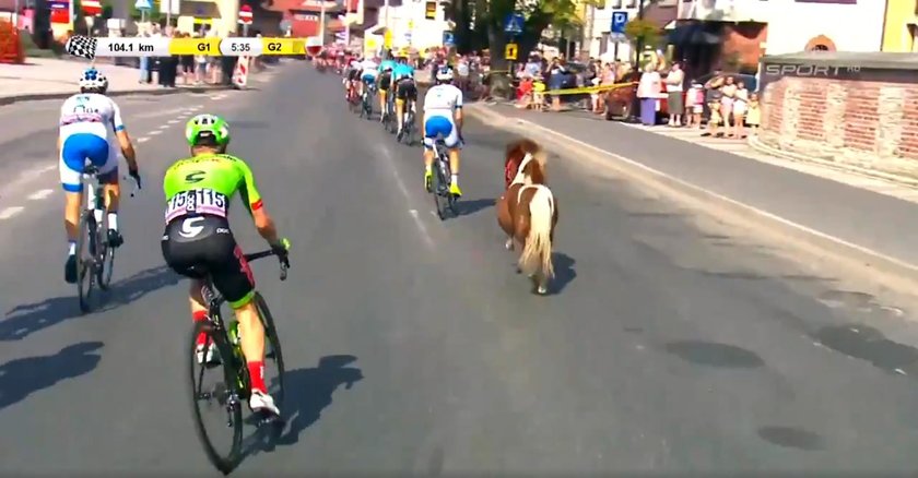 Niespodziewany gość na trasie Tour de Pologne