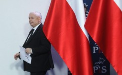 Polska pisowska inaczej. 'Kaczyński szukał potwierdzenia, że będą gryźli trawę'