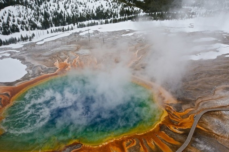 Dziki Park Yellowstone