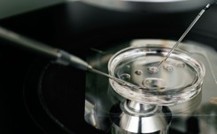 Ludowcy zaprzeczają, że poparlli projekt z ograniczeniem in vitro. 'To ideologiczne szaleństwo'