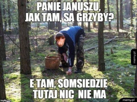 Sezon na grzyby rozpoczęty