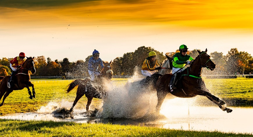 Pierwsze konie w padoku pojawią się o godz. 10.30.