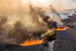 Fot. Volodymyr Shuvayev /AFP/East News